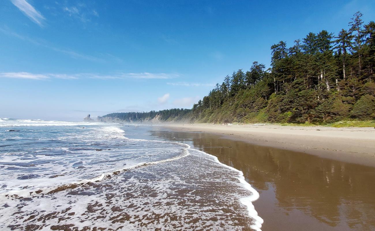 Photo of Shi Shi Beach with bright sand surface