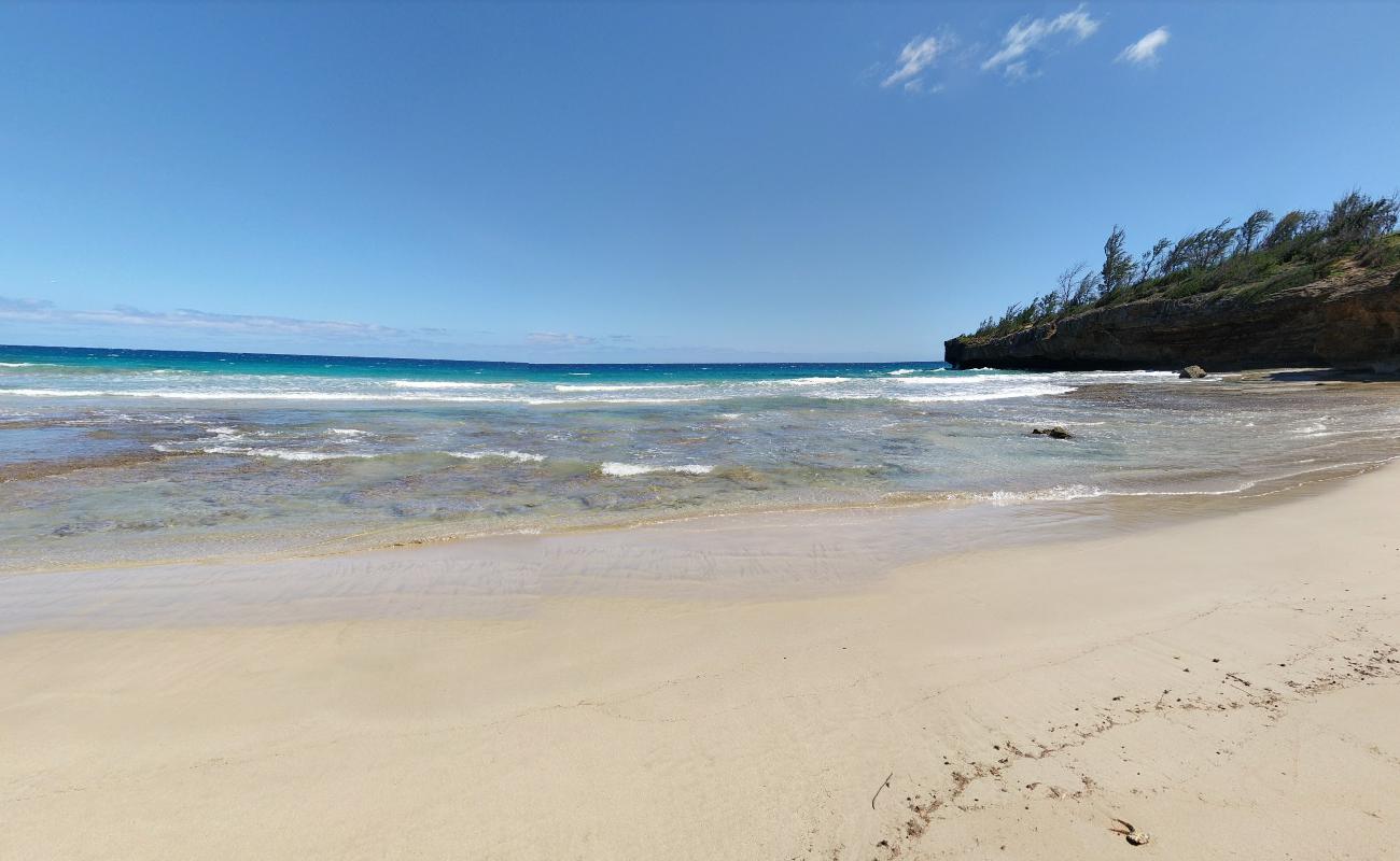 Photo of Haʻula Beach wild area