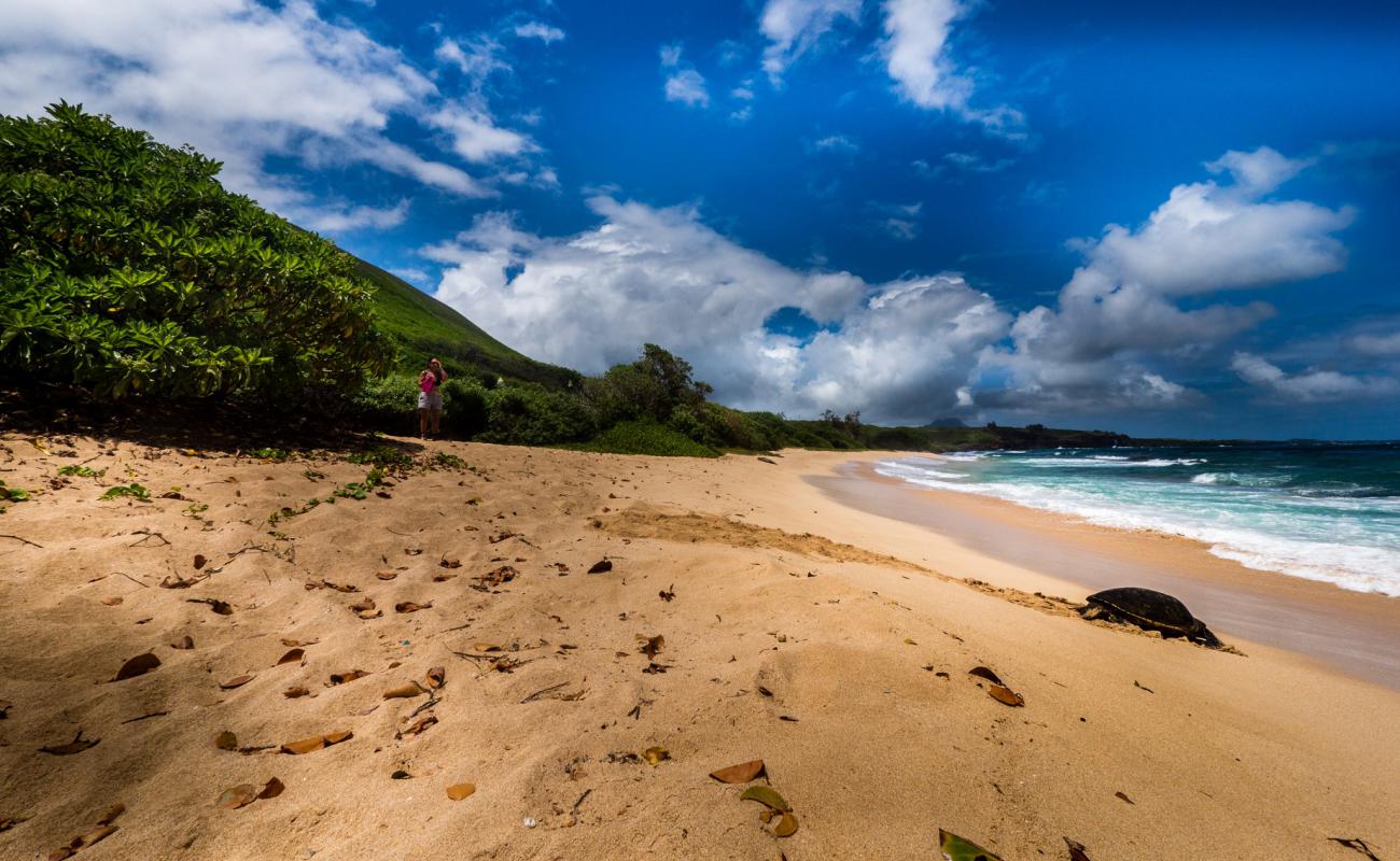 Photo of Palama Beach with bright fine sand surface