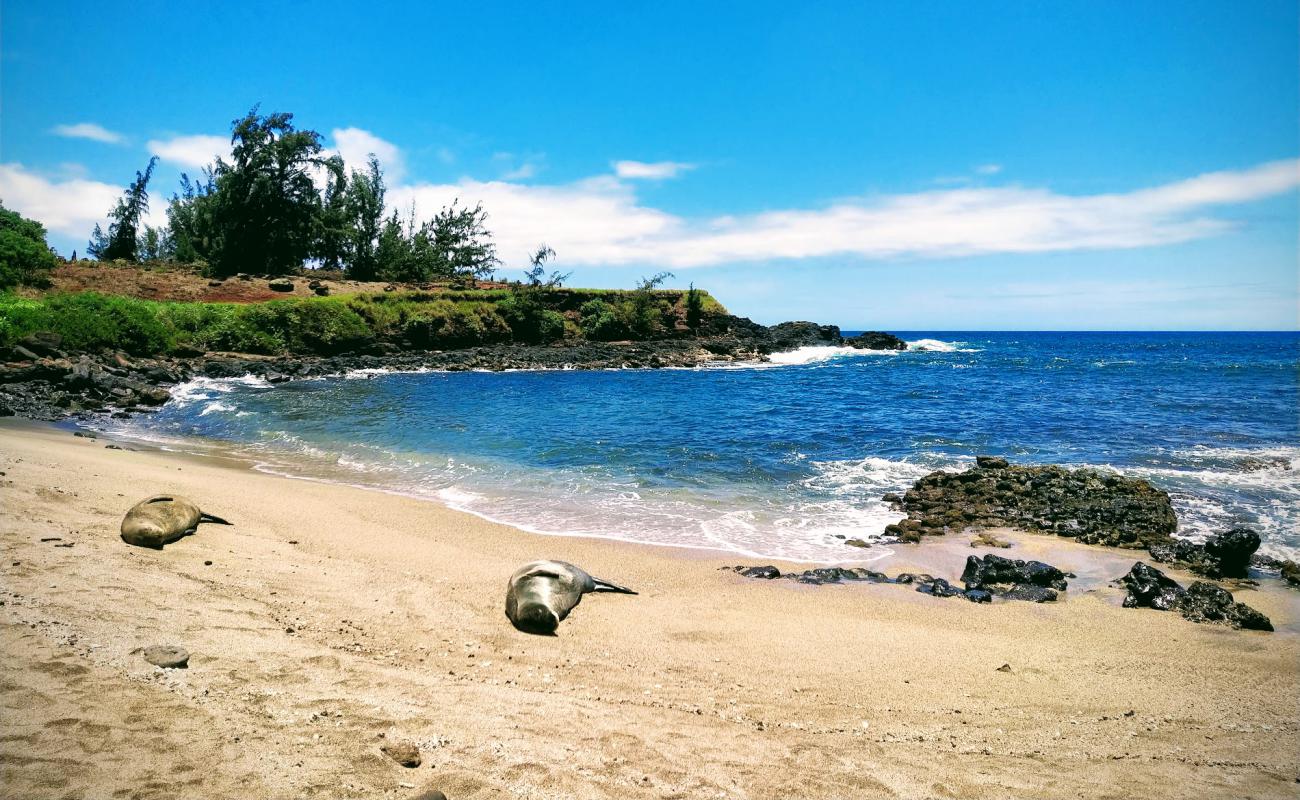 Photo of Glass Beach with bright sand & rocks surface