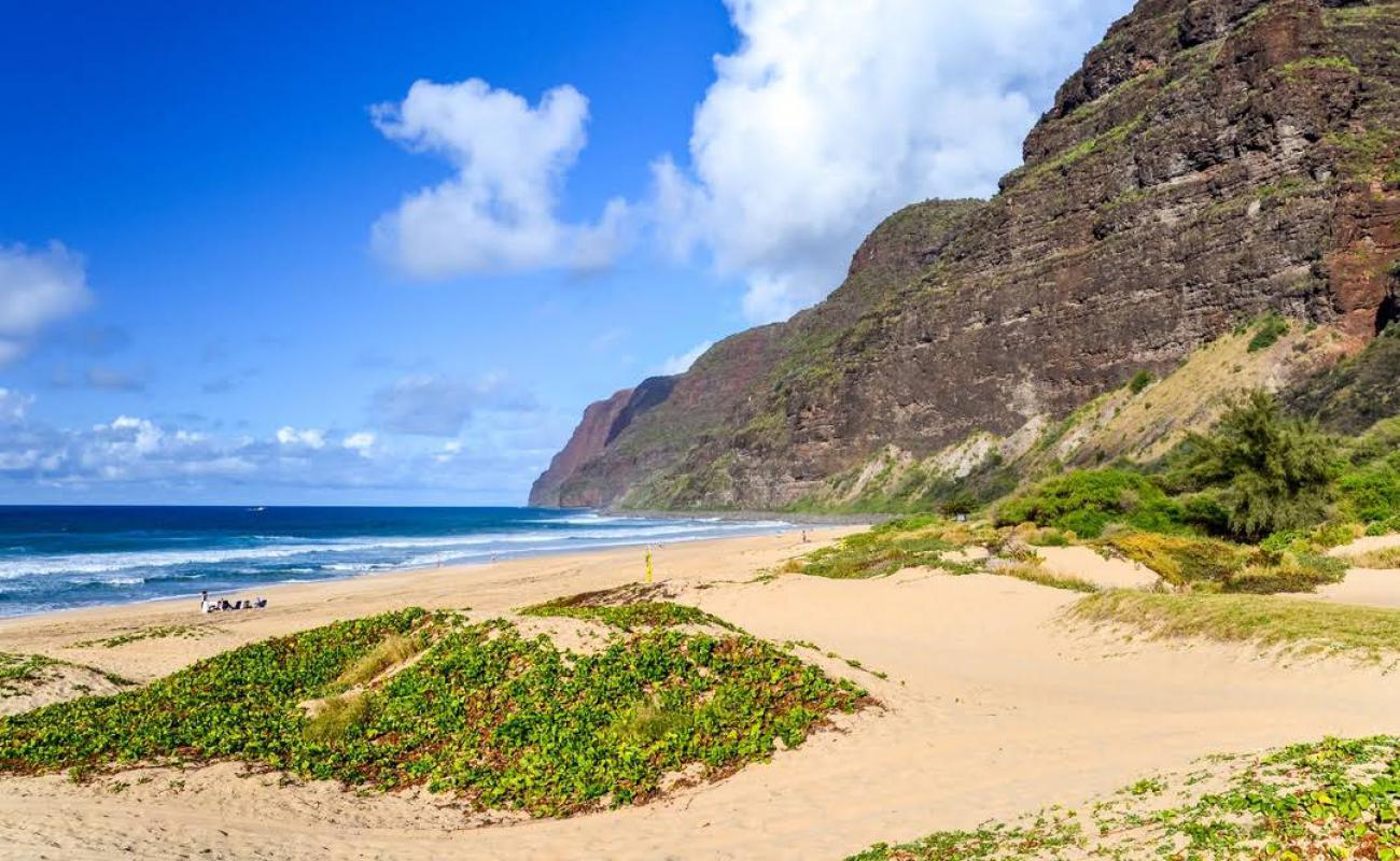 Photo of Polihale State Beach with bright sand surface