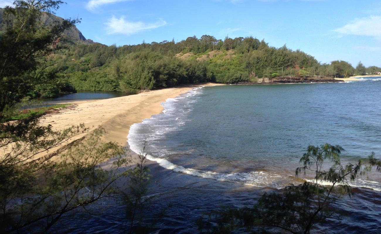 Photo of Wainiha Beach with bright sand surface