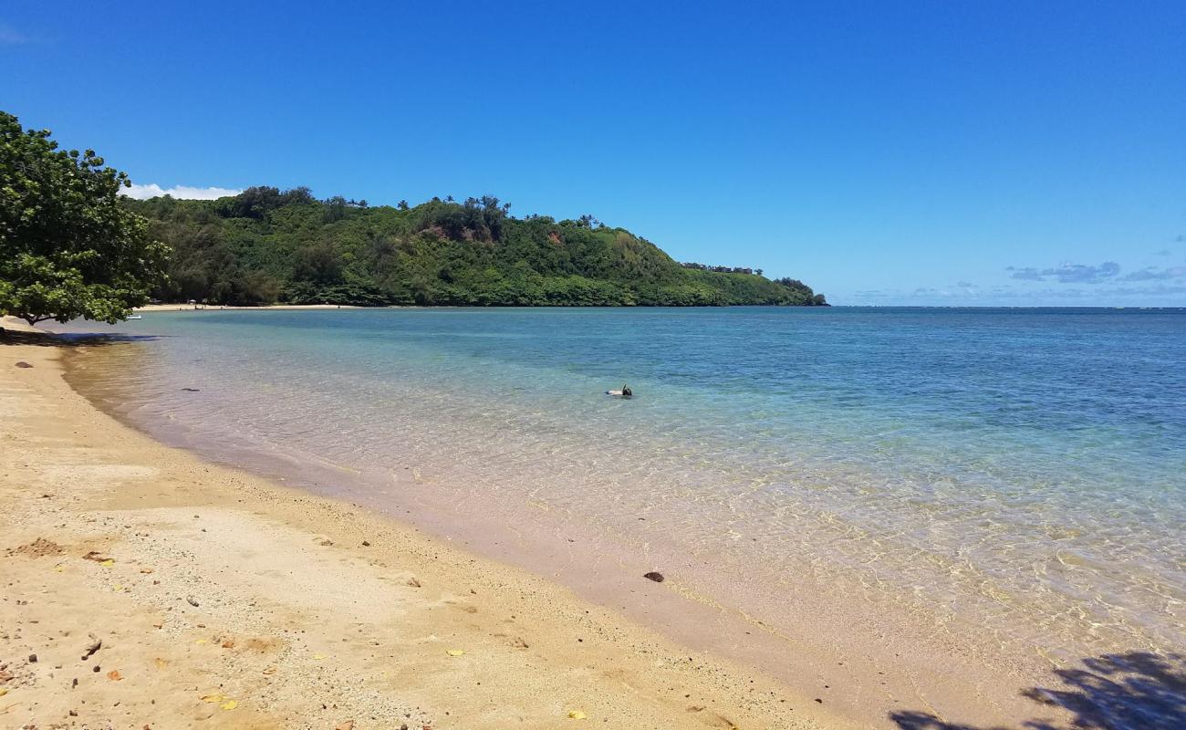 Photo of Anini Beach with bright sand surface