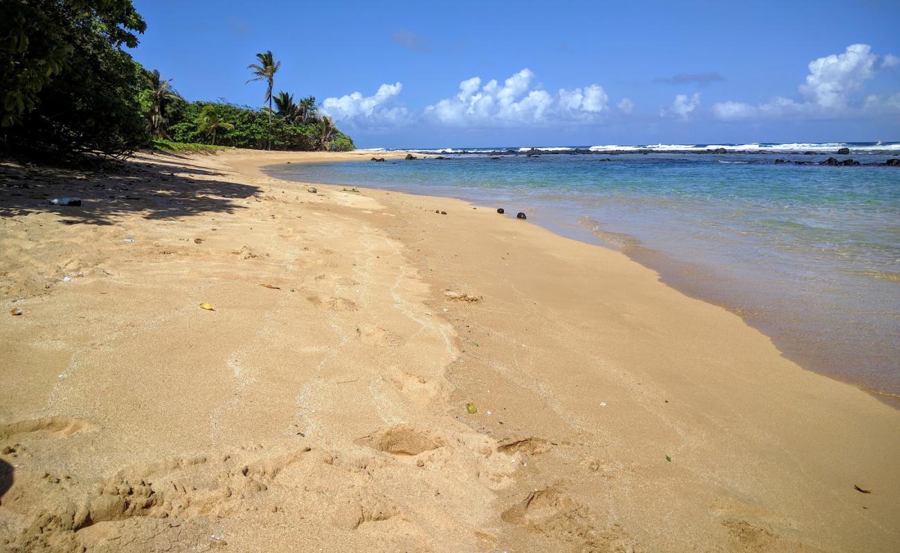 Photo of Papa'a Bay Beach with bright sand & rocks surface