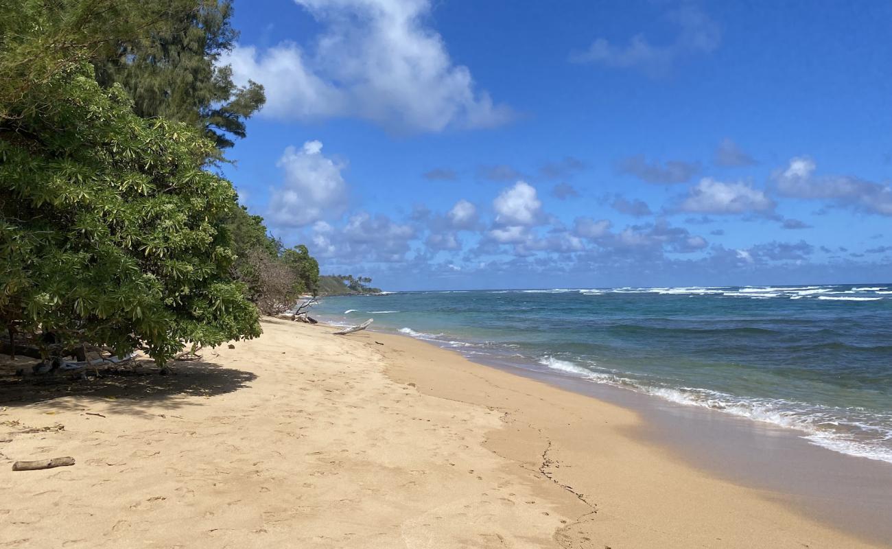 Photo of Anahola Beach II with bright sand surface