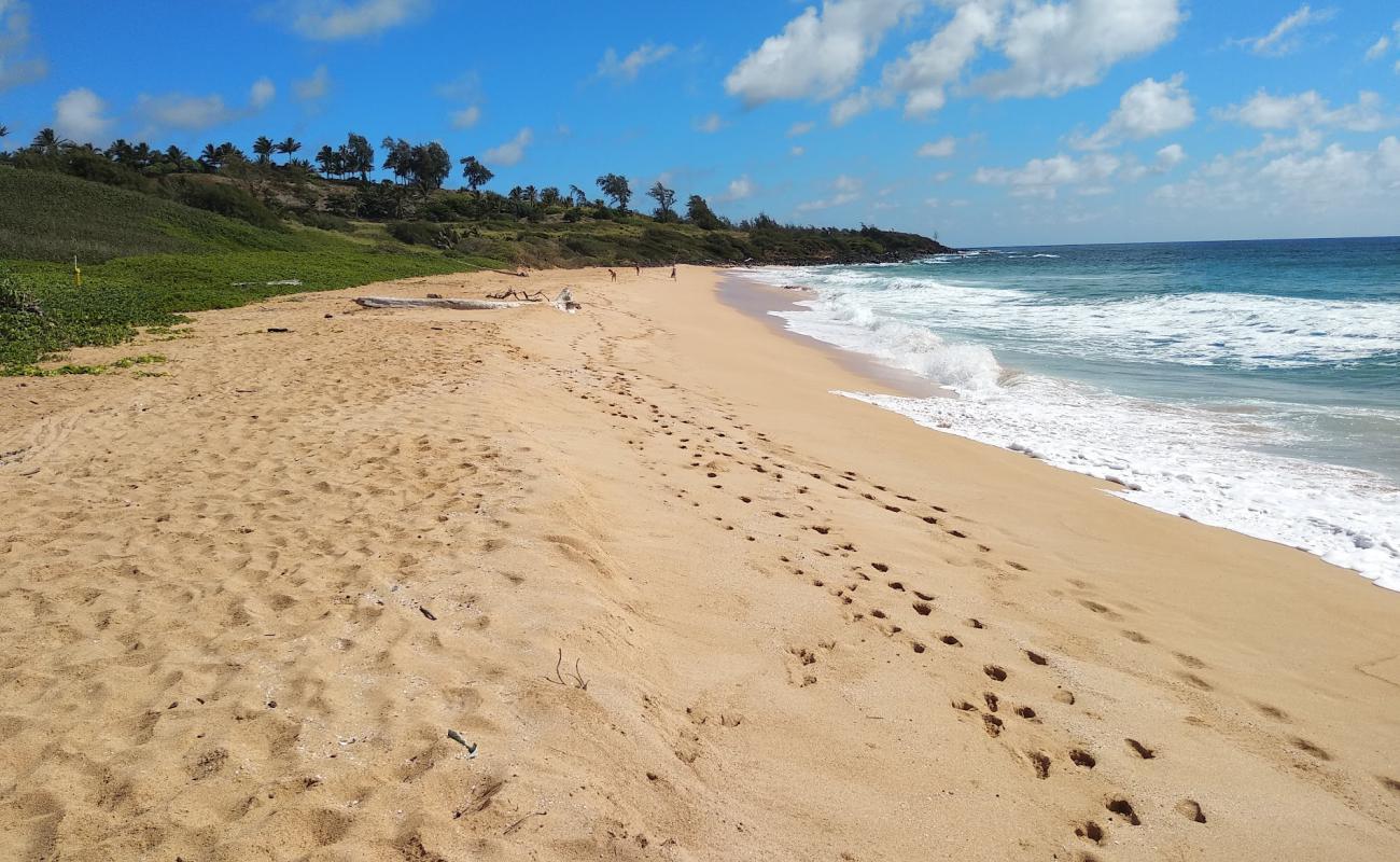 Photo of Paliku Beach with bright sand surface