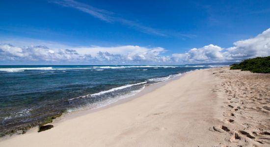 Mokulē‘ia Army Beach