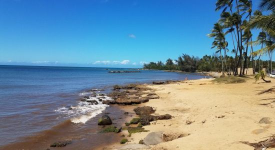 Haleʻiwa Beach Park