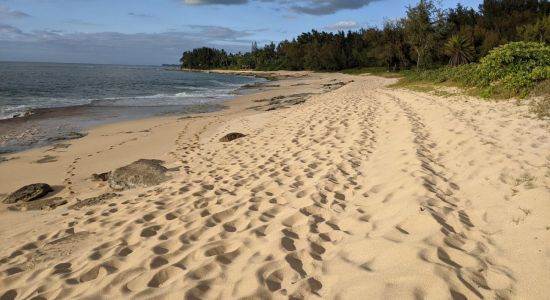 Kawailoa Beach