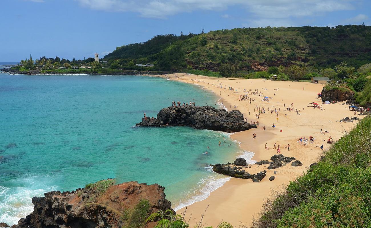 Photo of Waimea Bay Beach with bright sand surface