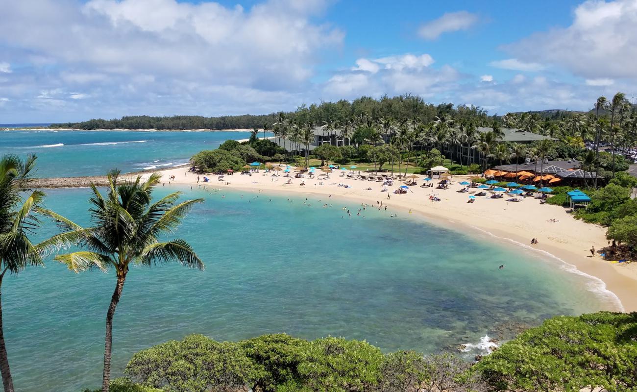 Photo of Turtle Beach with bright sand surface