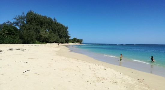 Pounder's Beach