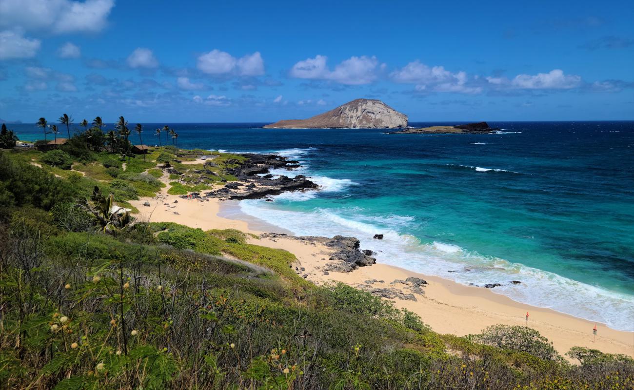 Photo of Makapuu beach with bright fine sand surface