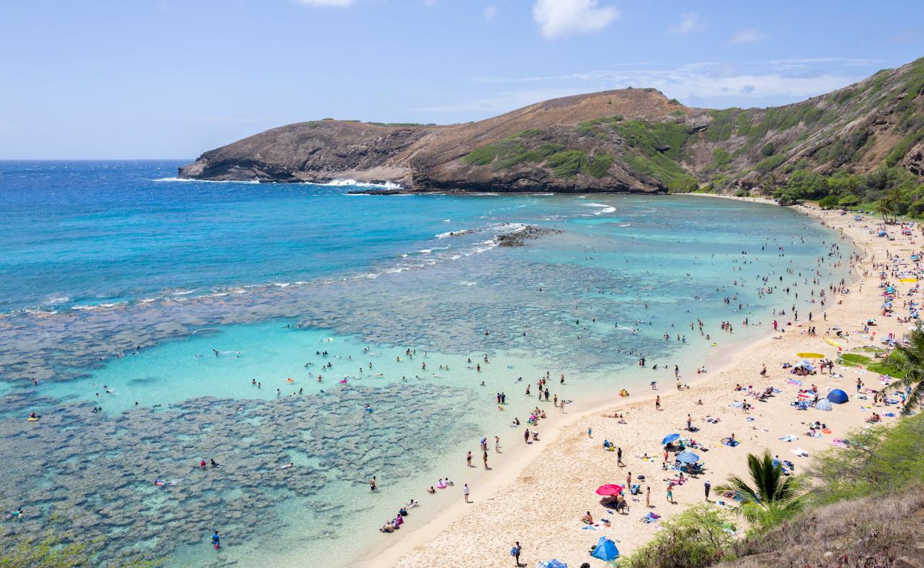 Photo of Hanauma Bay with bright fine sand surface