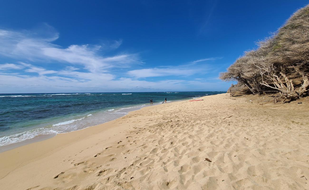 Photo of Diamond Head Beach Park with bright sand & rocks surface