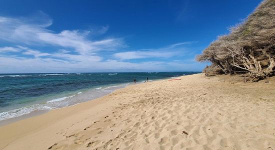 Diamond Head Beach Park