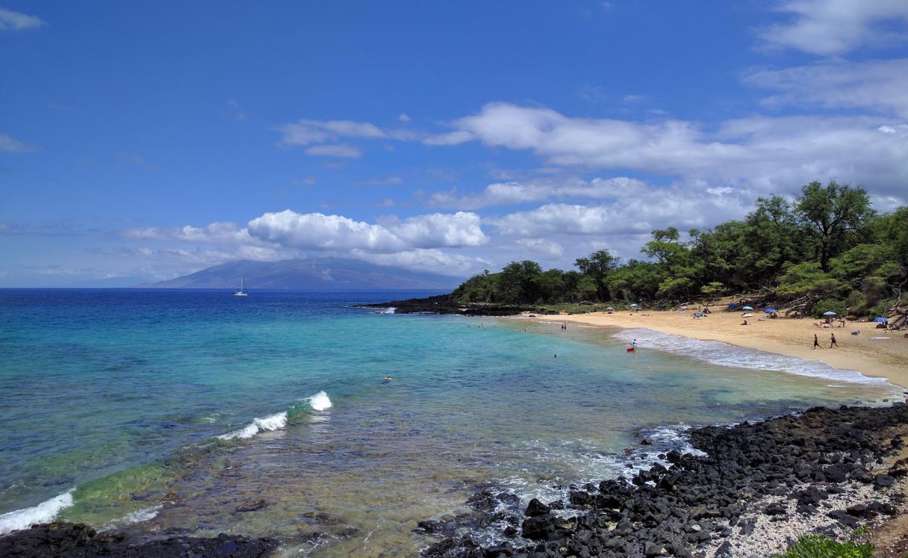 Photo of Little Beach with bright sand surface