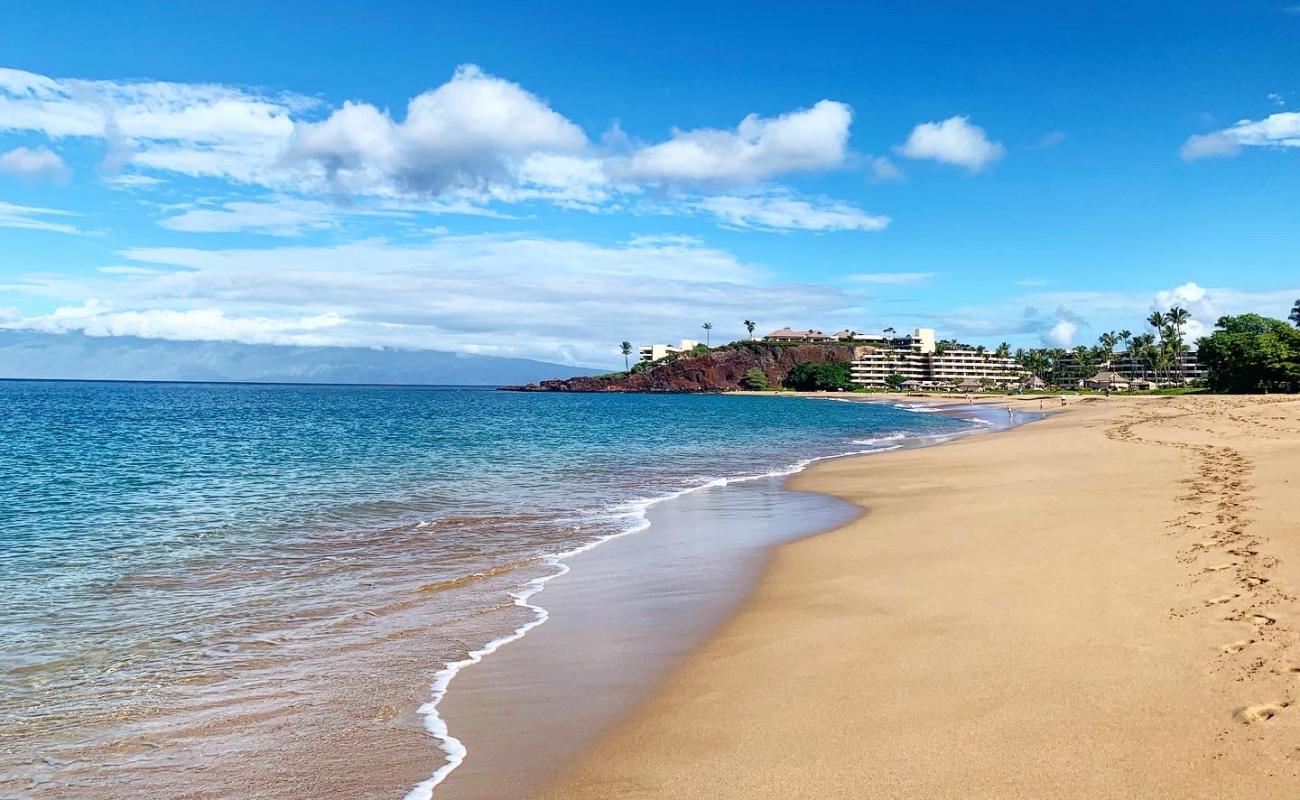 Photo of Black Rock Beach with bright fine sand surface