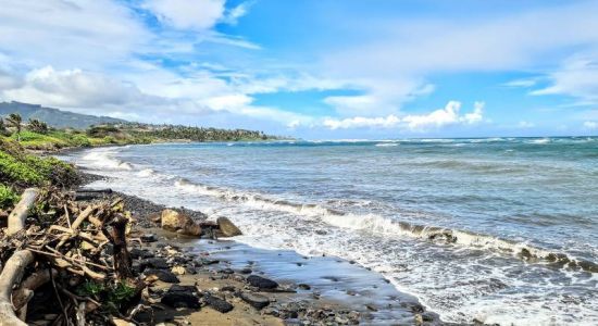 Paukukalo Beach