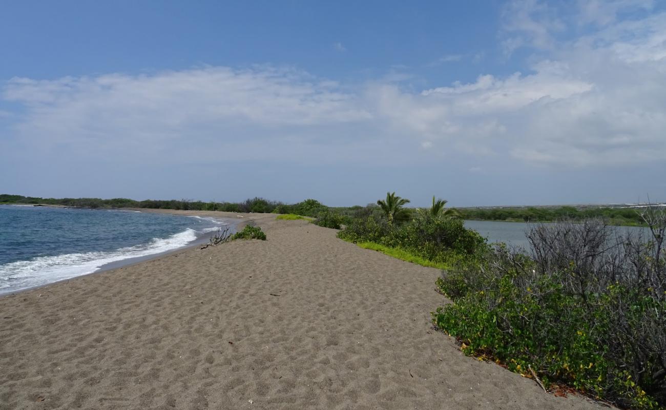 Photo of Honokohau Beach with gray sand surface