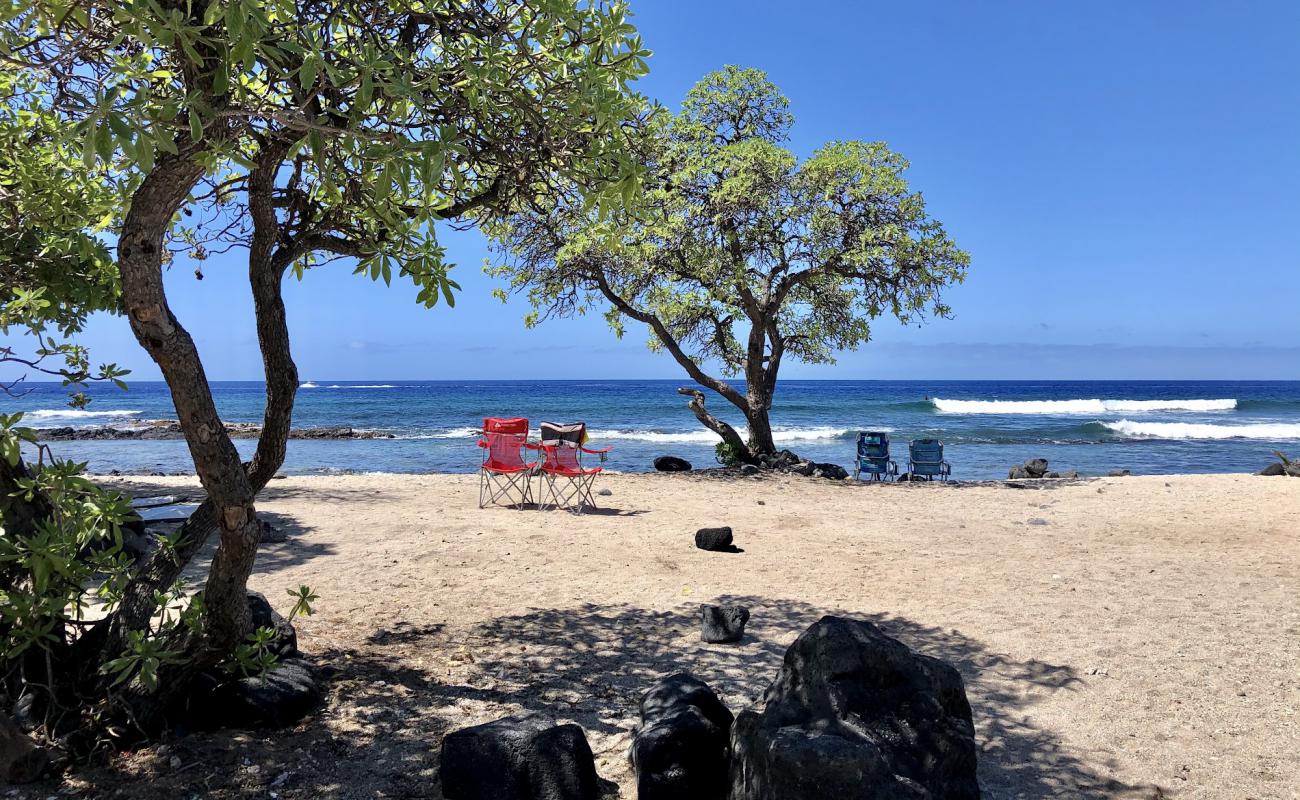 Photo of Pine Trees Beach with bright sand & rocks surface