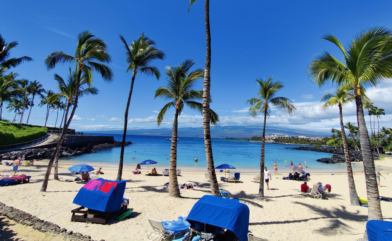 Photo of Mauna Lani Club beach with bright sand surface