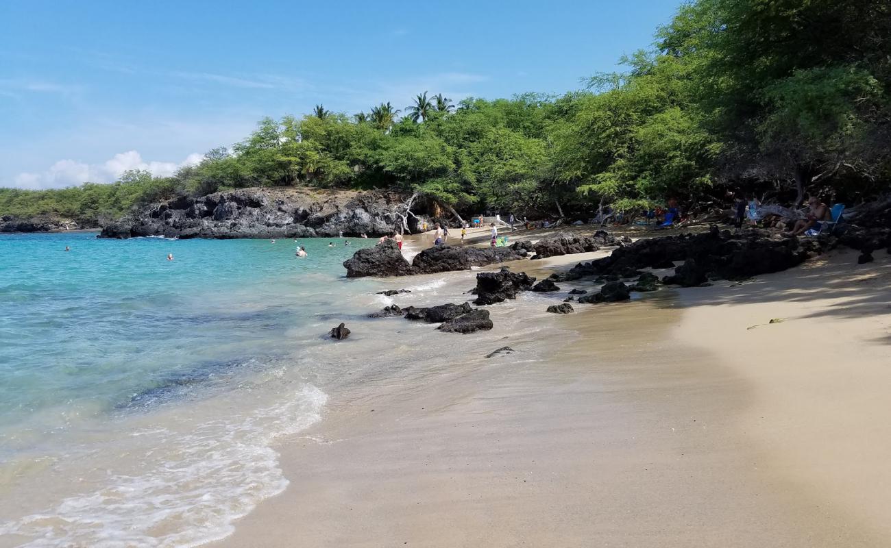 Photo of Waialea Beach with bright sand surface