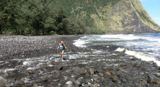 Waimanu Valley