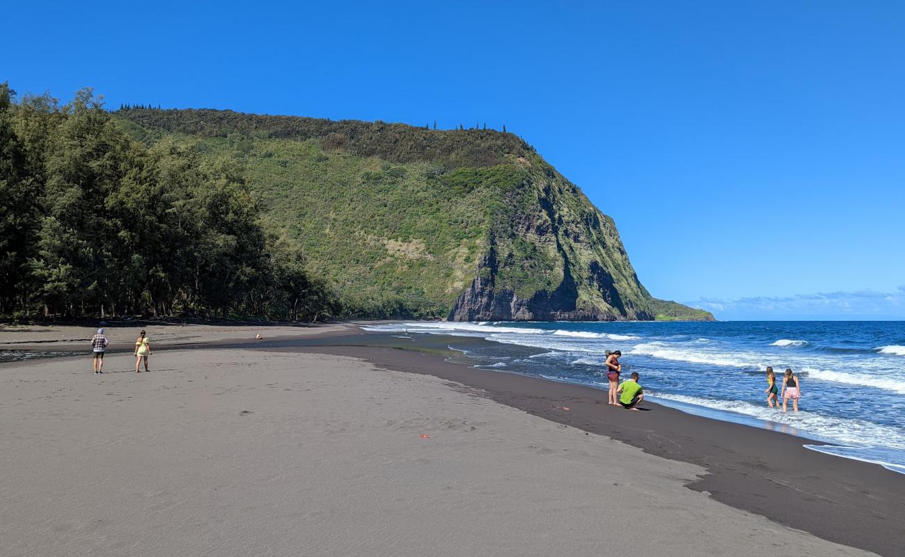 Photo of Waipi'o Black Sand Beach with brown sand surface