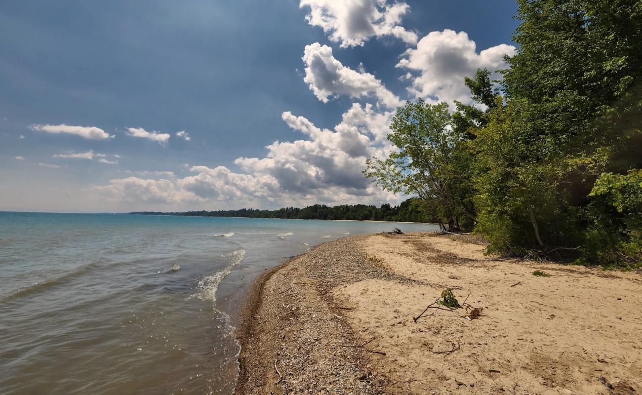 Photo of Delaware Beach with bright sand surface