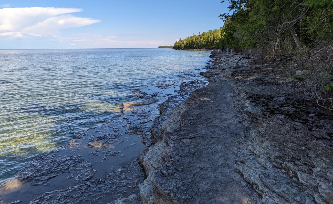 Photo of Fossil Ledges Beach with rocks cover surface