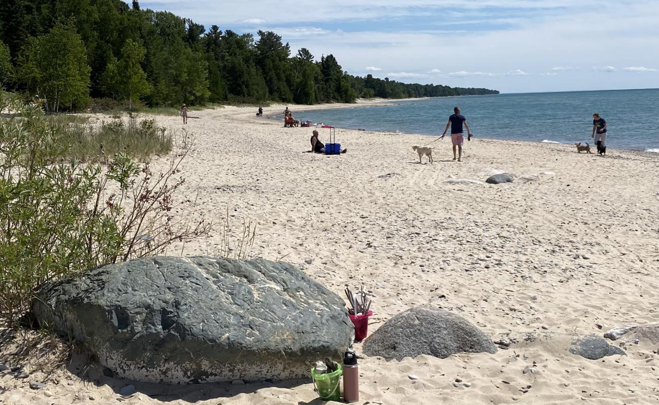 Photo of Antrim Creek Natural Area with bright sand surface