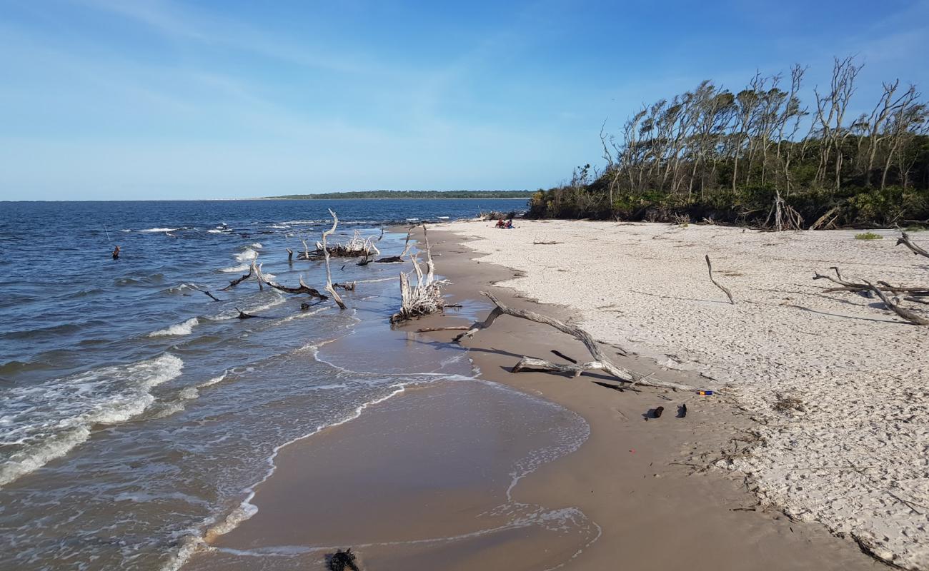 Photo of Black rock beach with bright sand surface