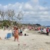 Driftwood beach