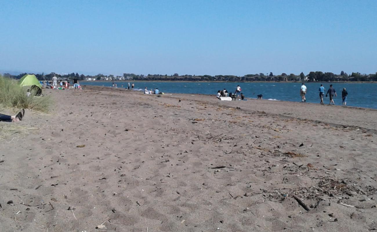 Photo of Alameda beach with bright sand surface