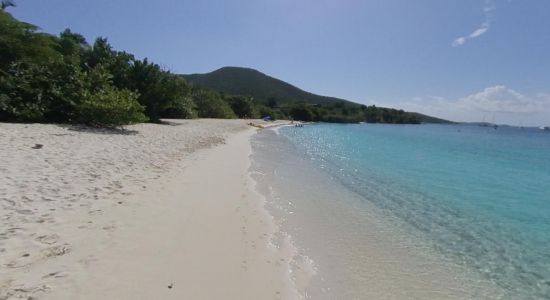 Turtle Bay beach II