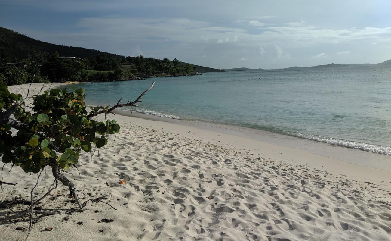 Photo of Caneel Bay beach with bright fine sand surface