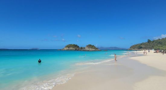 Trunk Bay beach