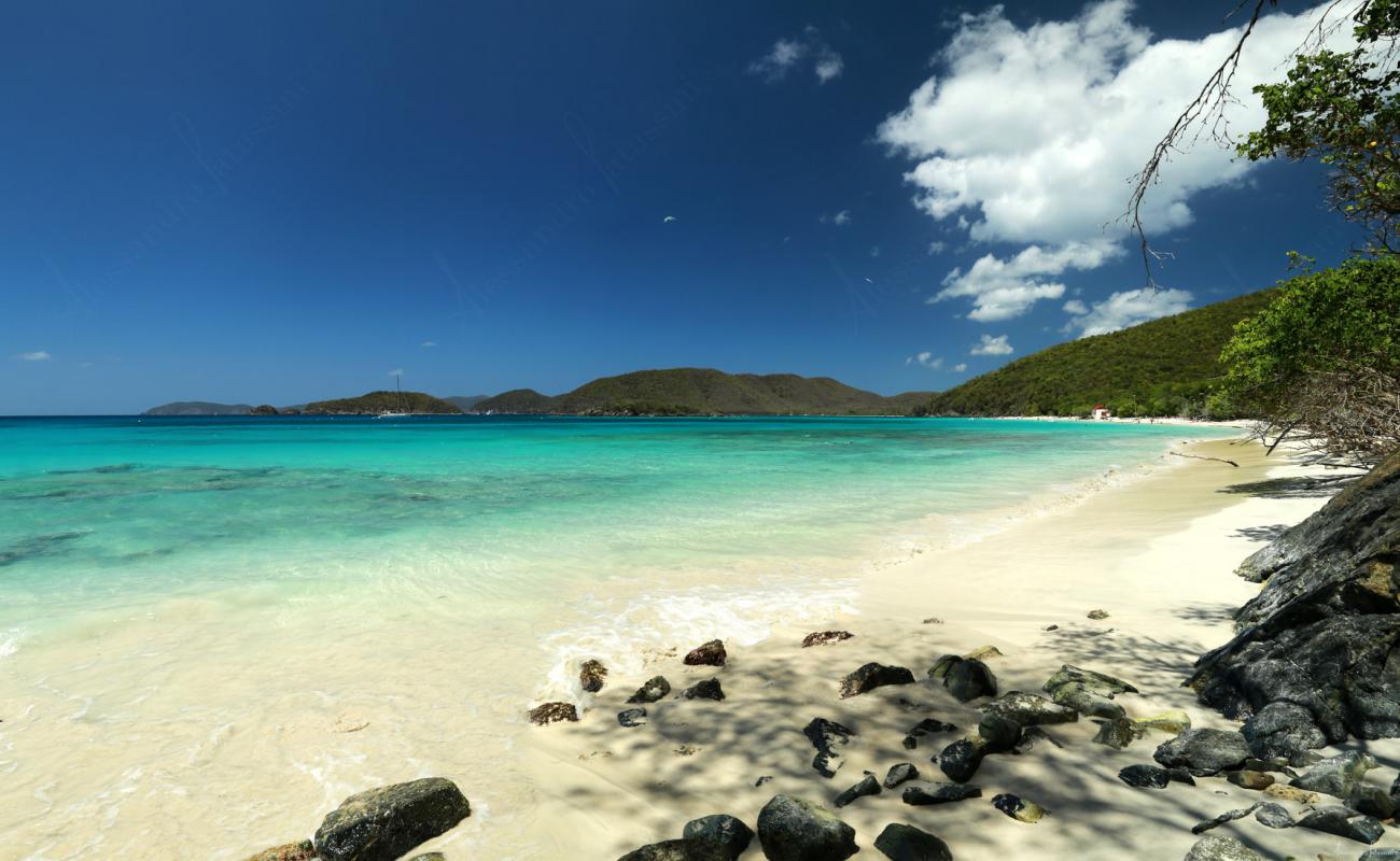 Photo of Peter Bay beach with bright fine sand surface