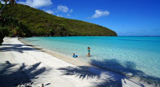 Maho Bay beach