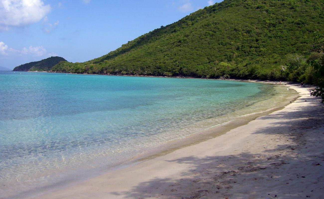 Photo of Francis Bay beach with bright fine sand surface