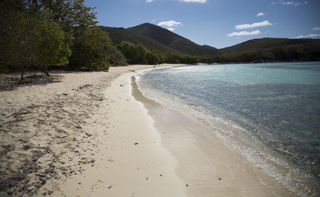 Photo of Lameshur beach with bright fine sand surface