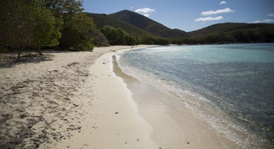 Lameshur beach