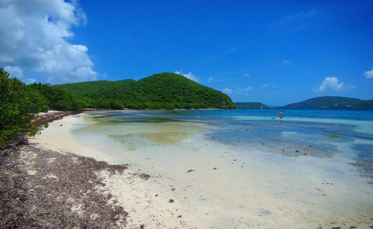 Photo of Brown Bay Beach with bright sand surface