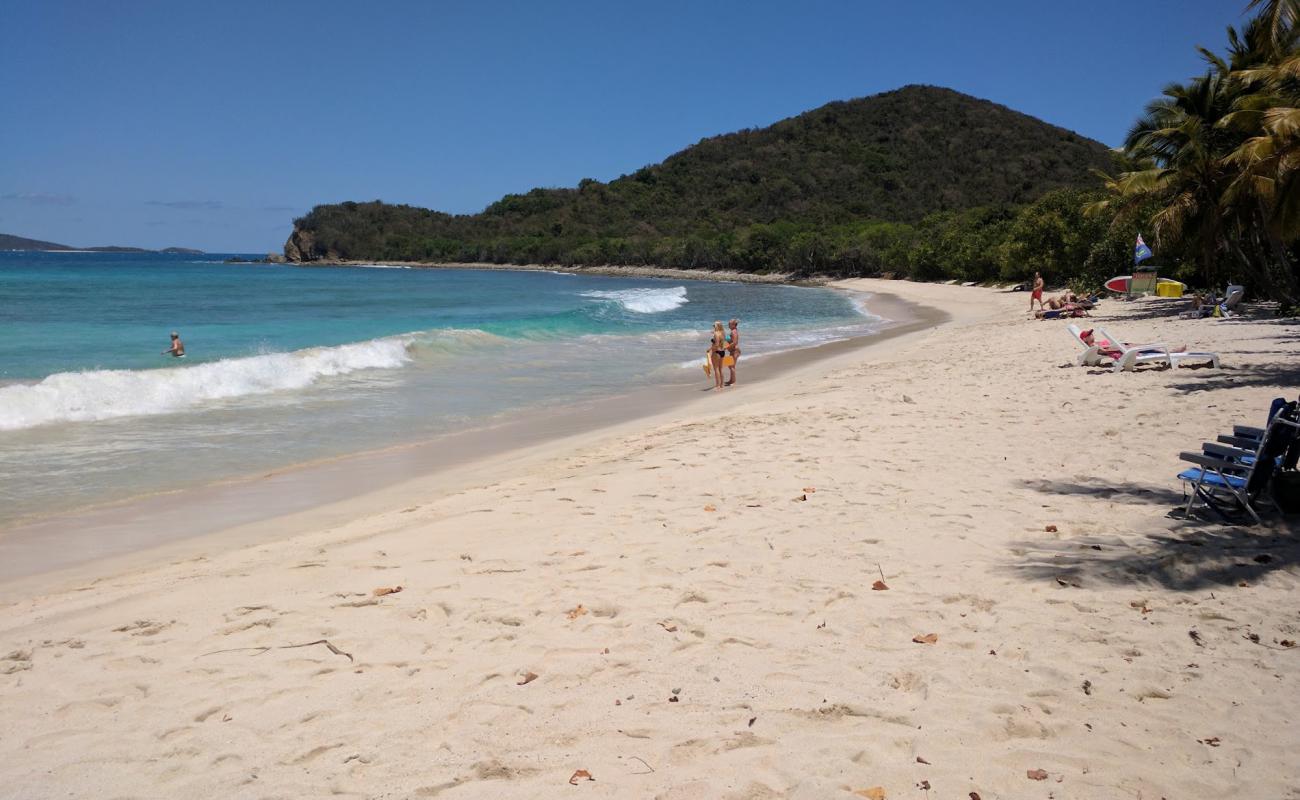 Photo of Smuggler's Cove beach with bright fine sand surface