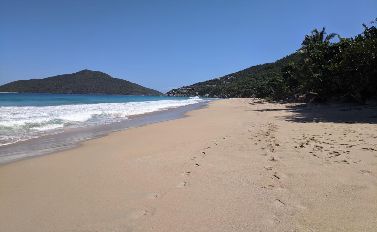 Photo of Lambert Bay beach with bright fine sand surface