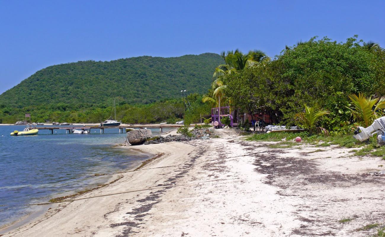 Photo of Trellis Bay with bright sand surface