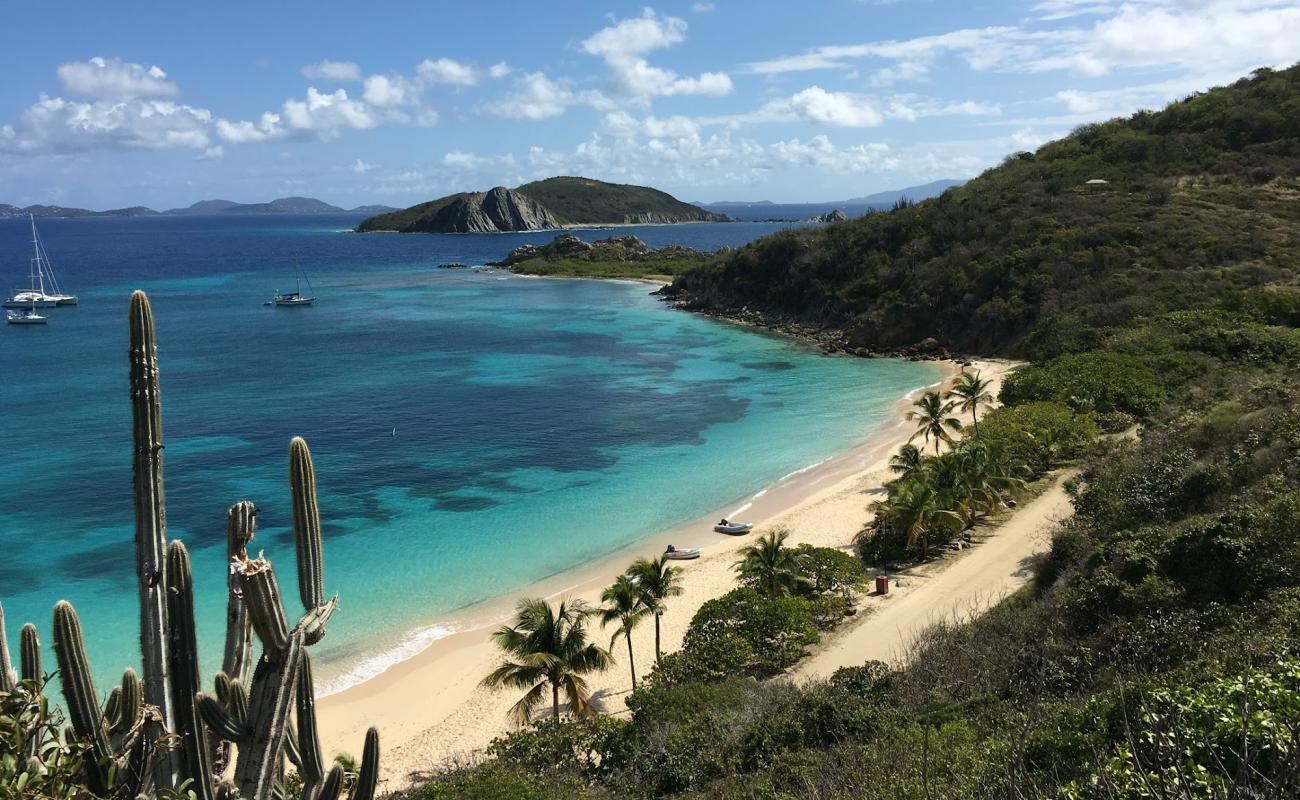 Photo of Peter Island beach with bright fine sand surface