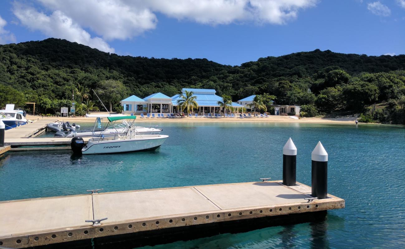 Photo of Bight Bay beach with bright fine sand surface