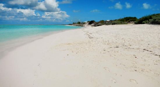 Anegada beach